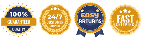 Interactive Robot Kitten